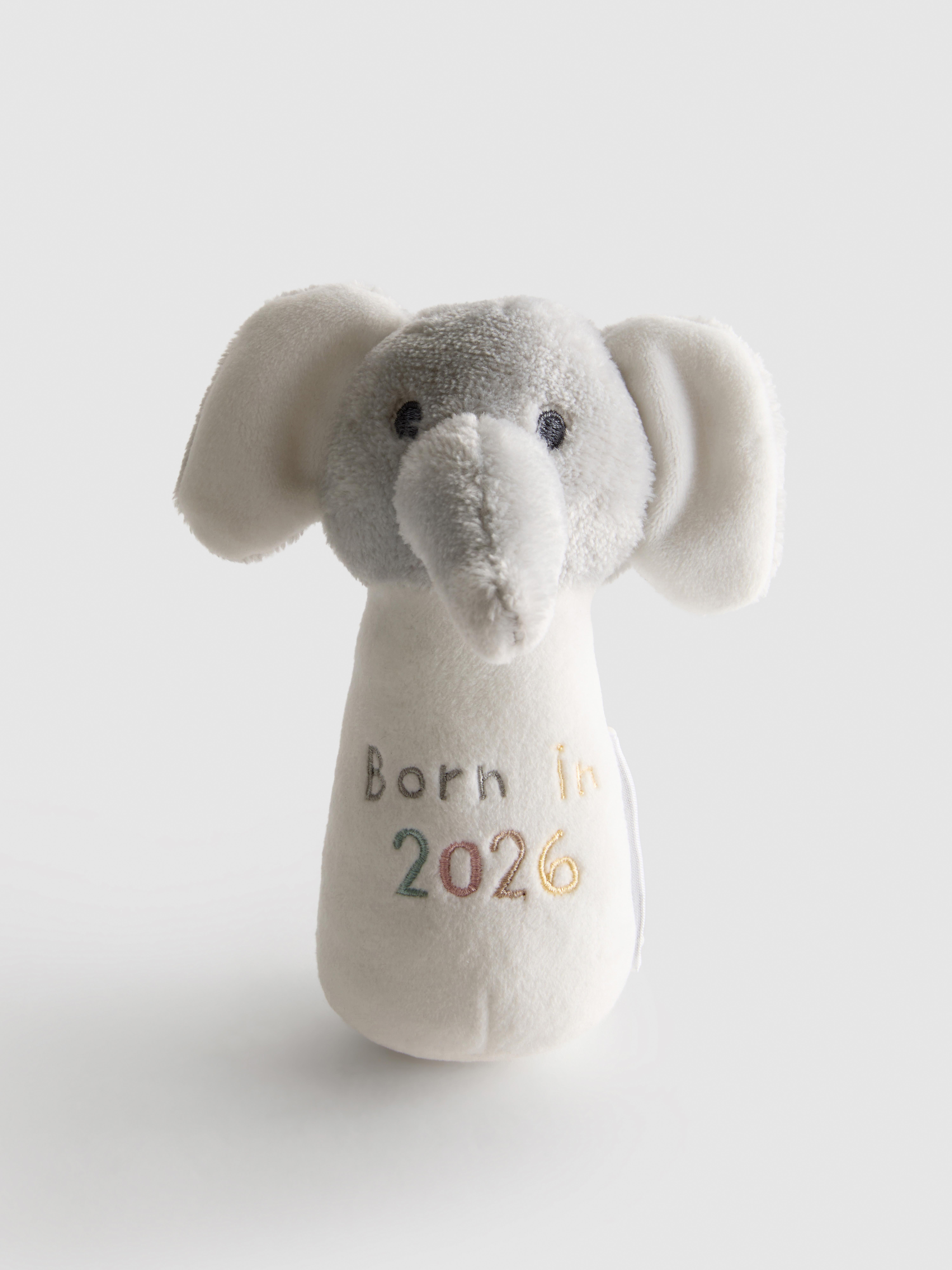 Born in 2026 Rattle Toy